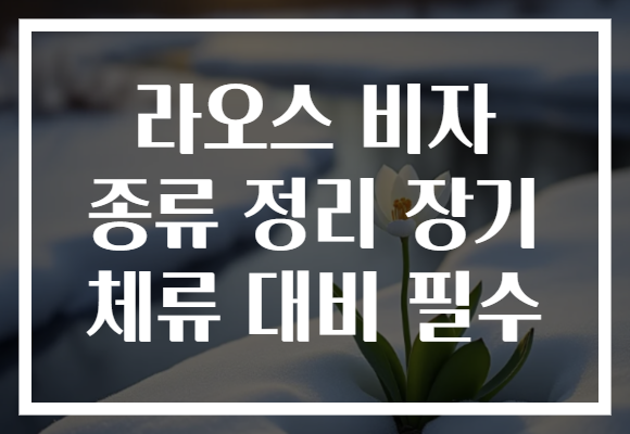 라오스 비자 종류 정리 장기 체류 대비 필수