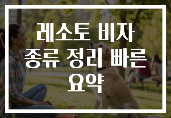 레소토 비자 종류 정리 빠른 요약
