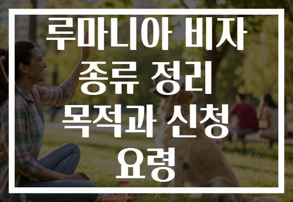 루마니아 비자 종류 정리 목적과 신청 요령