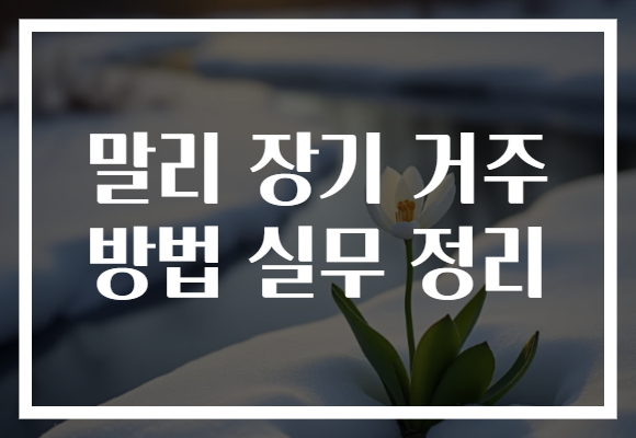 말리 장기 거주 방법 실무 정리