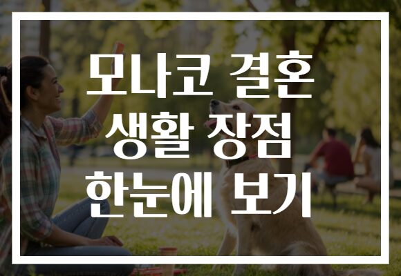 모나코 결혼 생활 장점 한눈에 보기