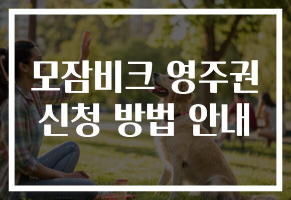 모잠비크 영주권 신청 방법 안내