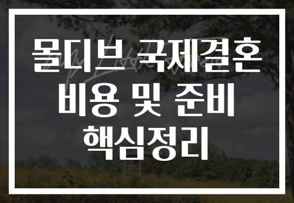 몰디브 국제결혼 비용 및 준비 핵심정리