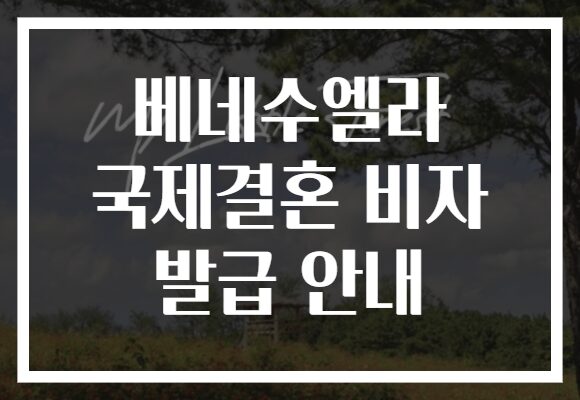 베네수엘라 국제결혼 비자 발급 안내