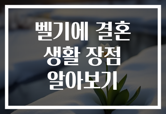 벨기에 결혼 생활 장점 알아보기