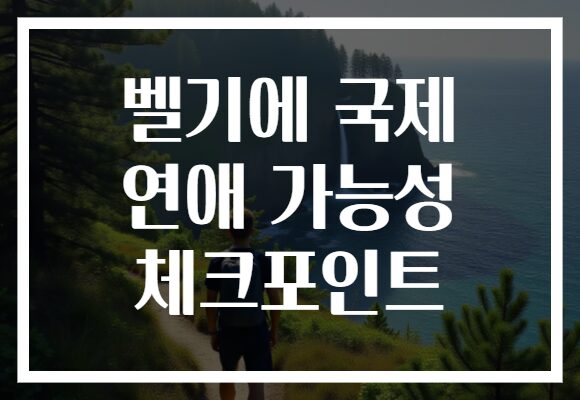 벨기에 국제 연애 가능성 체크포인트