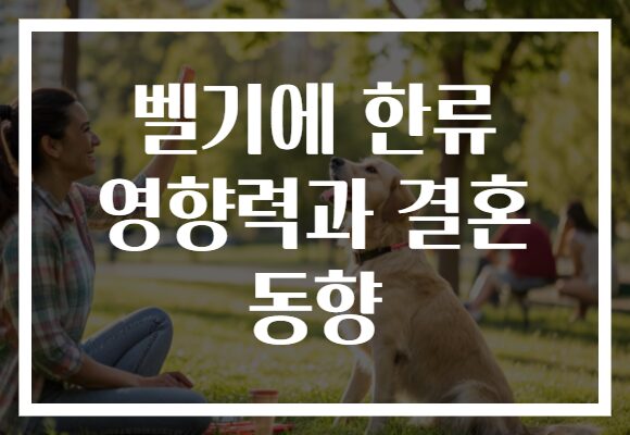 벨기에 한류 영향력과 결혼 동향