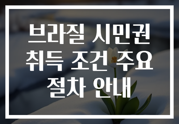 브라질 시민권 취득 조건 주요 절차 안내