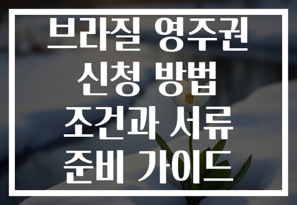 브라질 영주권 신청 방법 조건과 서류 준비 가이드