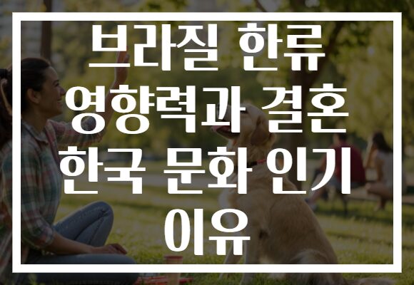 브라질 한류 영향력과 결혼 한국 문화 인기 이유