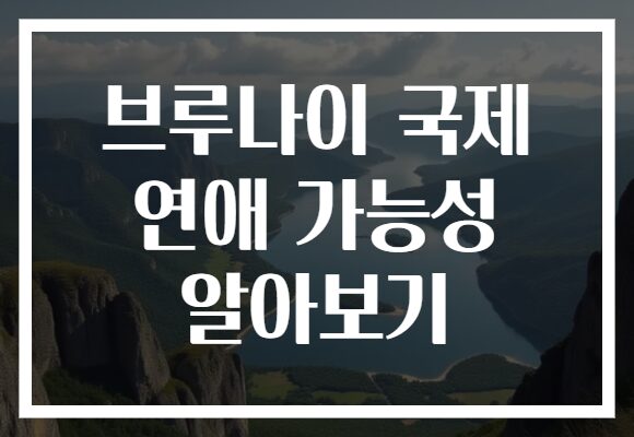 브루나이 국제 연애 가능성 알아보기