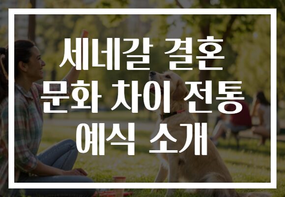 세네갈 결혼 문화 차이 전통 예식 소개