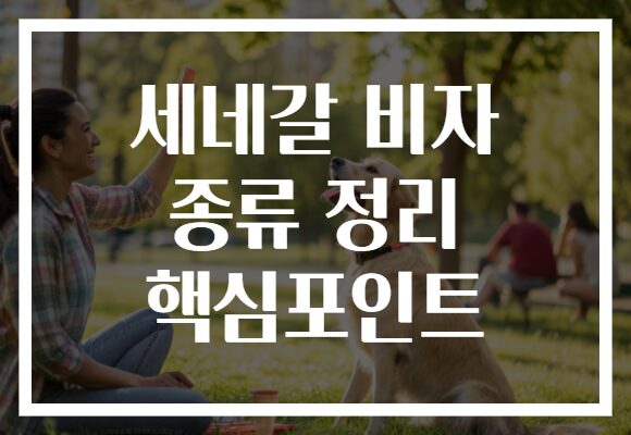 세네갈 비자 종류 정리 핵심포인트
