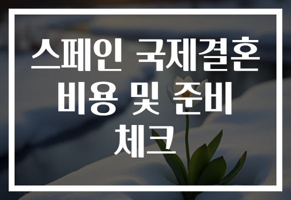 스페인 국제결혼 비용 및 준비 체크