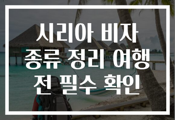 시리아 비자 종류 정리 여행 전 필수 확인