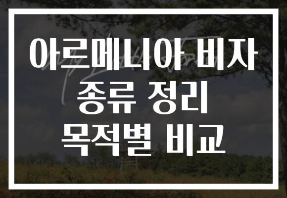 아르메니아 비자 종류 정리 목적별 비교