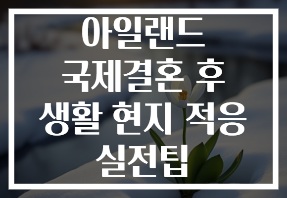 아일랜드 국제결혼 후 생활 현지 적응 실전팁