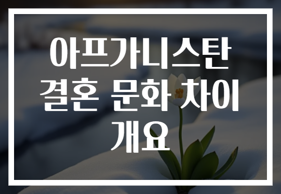 아프가니스탄 결혼 문화 차이 개요