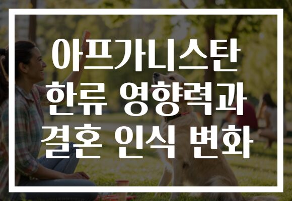 아프가니스탄 한류 영향력과 결혼 인식 변화