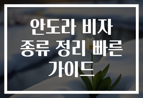 안도라 비자 종류 정리 빠른 가이드