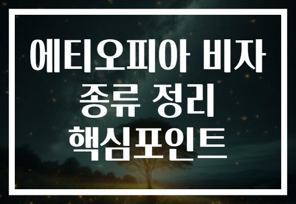 에티오피아 비자 종류 정리 핵심포인트