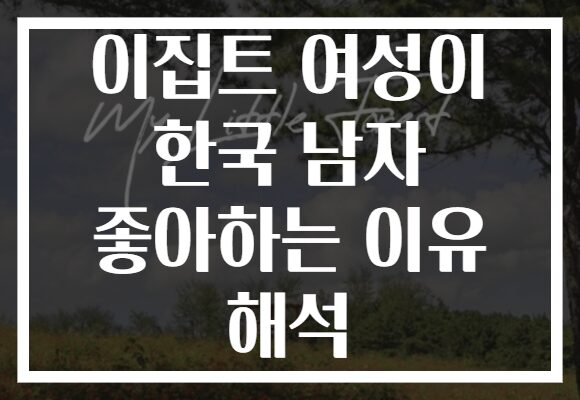 이집트 여성이 한국 남자 좋아하는 이유 해석