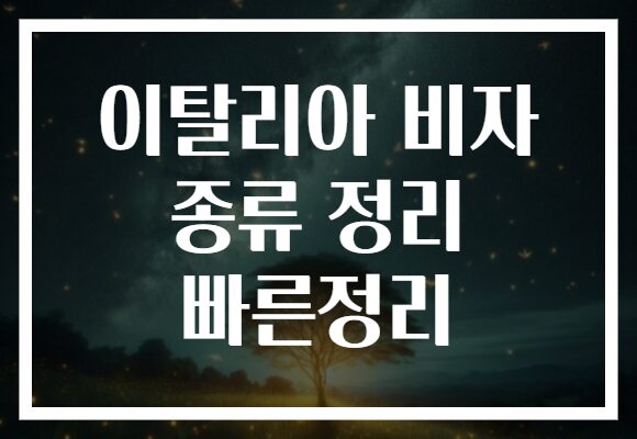 이탈리아 비자 종류 정리 빠른정리