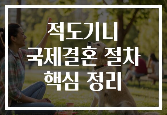 적도기니 국제결혼 절차 핵심 정리