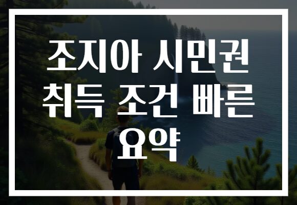 조지아 시민권 취득 조건 빠른 요약