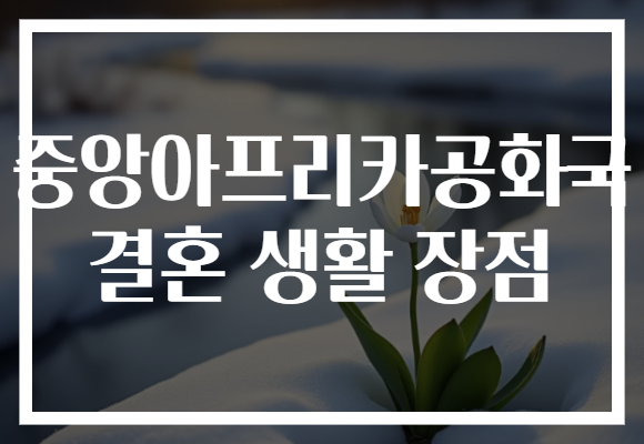 중앙아프리카공화국 결혼 생활 장점