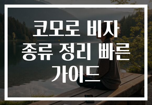 코모로 비자 종류 정리 빠른 가이드