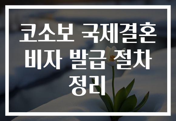 코소보 국제결혼 비자 발급 절차 정리