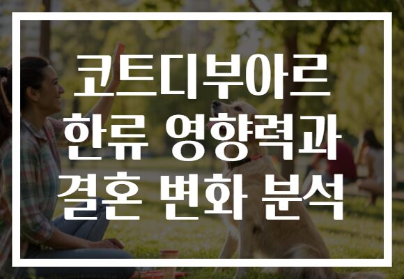 코트디부아르 한류 영향력과 결혼 변화 분석