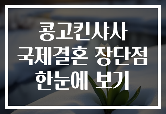콩고킨샤사 국제결혼 장단점 한눈에 보기