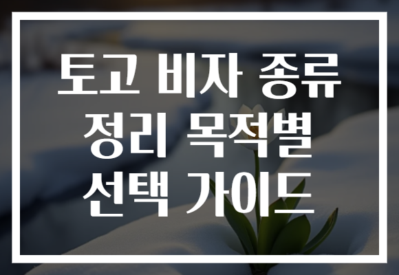 토고 비자 종류 정리 목적별 선택 가이드