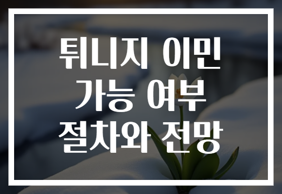 튀니지 이민 가능 여부 절차와 전망
