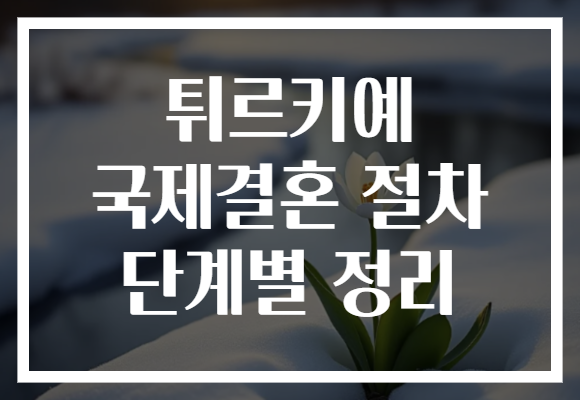 튀르키예 국제결혼 절차 단계별 정리