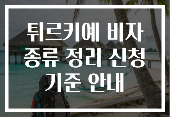 튀르키예 비자 종류 정리 신청 기준 안내
