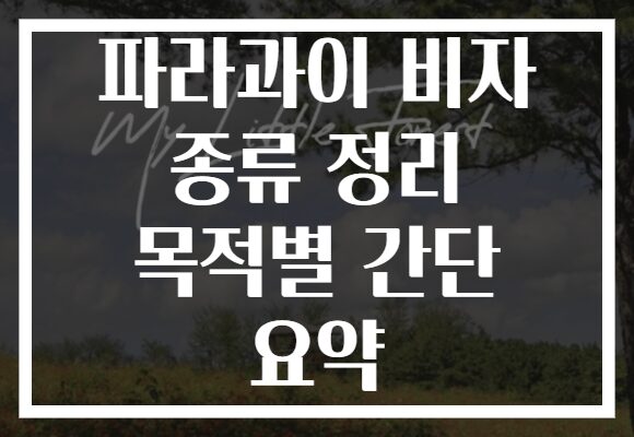 파라과이 비자 종류 정리 목적별 간단 요약