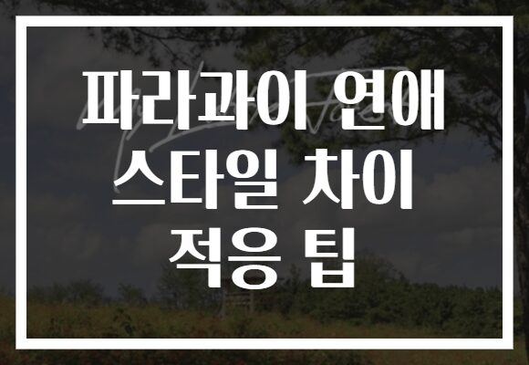 파라과이 연애 스타일 차이 적응 팁