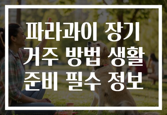 파라과이 장기 거주 방법 생활 준비 필수 정보