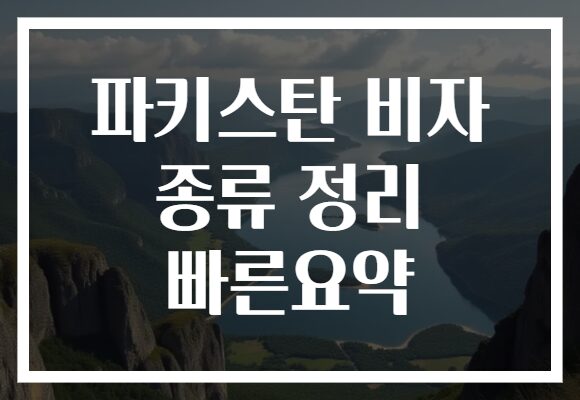 파키스탄 비자 종류 정리 빠른요약