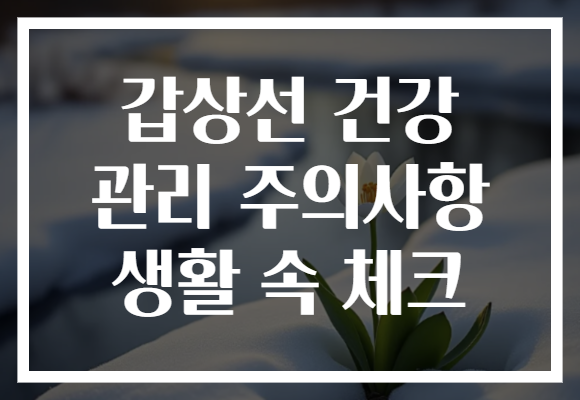 갑상선 건강 관리 주의사항 생활 속 체크