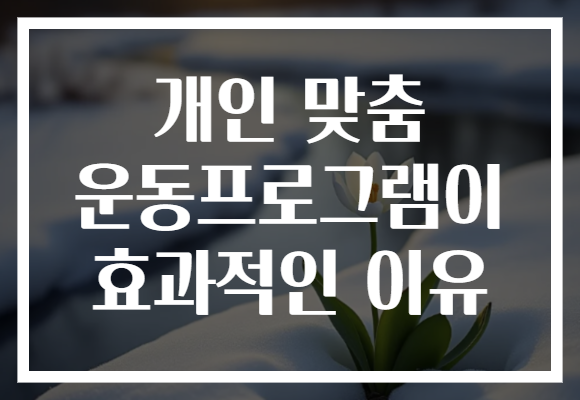 개인 맞춤 운동프로그램이 효과적인 이유