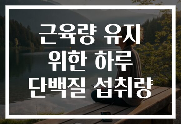 근육량 유지 위한 하루 단백질 섭취량