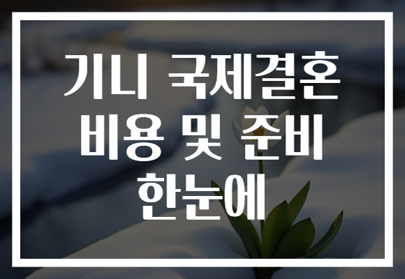 기니 국제결혼 비용 및 준비 한눈에