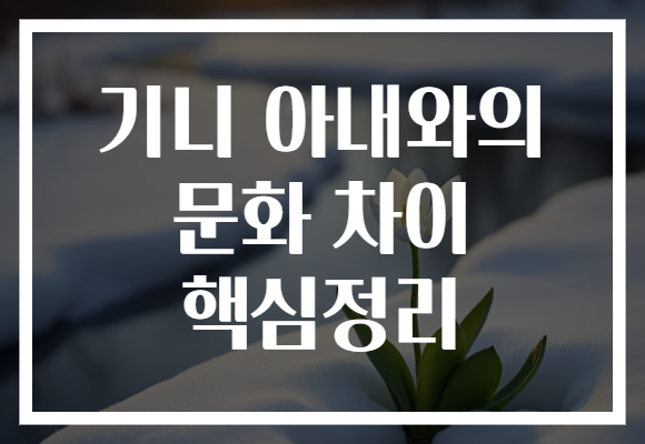 기니 아내와의 문화 차이 핵심정리