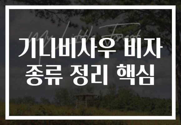 기니비사우 비자 종류 정리 핵심