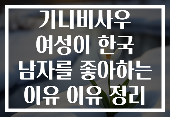 기니비사우 여성이 한국 남자를 좋아하는 이유 이유 정리