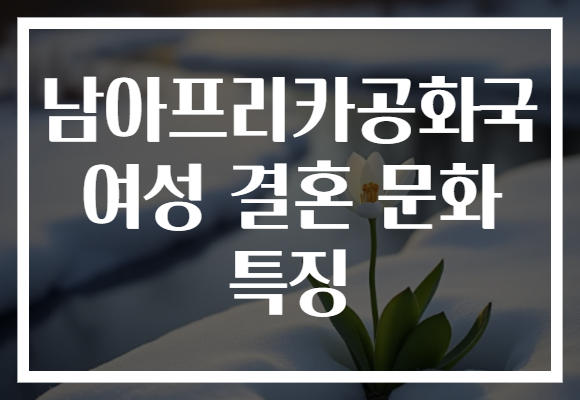 남아프리카공화국 여성 결혼 문화 특징